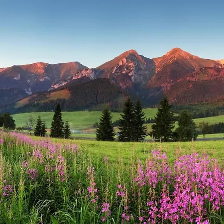Olivia 22 Διαμέρισμα Vysoké Tatry